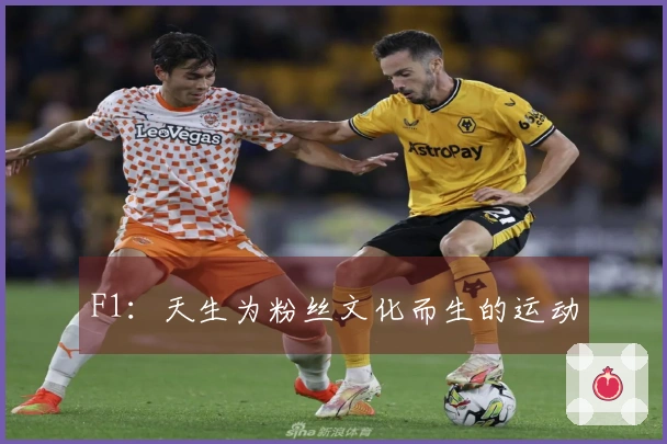 F1：天生为粉丝文化而生的运动